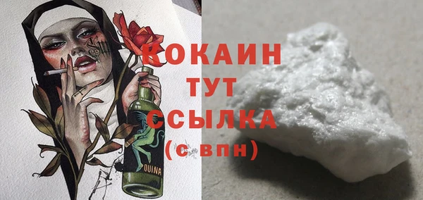 индика Тихвин